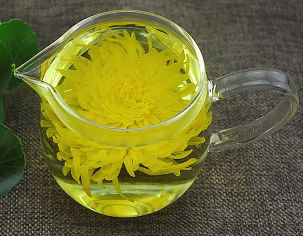 黄菊花茶的功效与作用有哪些