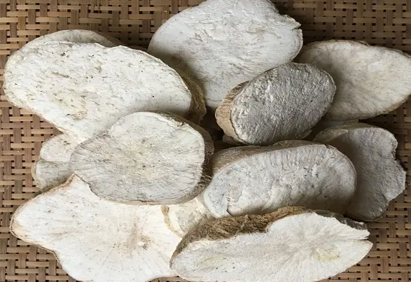 天花粉功效以及作用