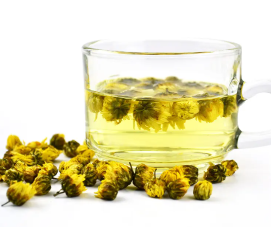 白菊花茶和黄菊花茶的功效与作用
