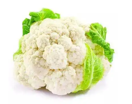 白花菜有哪些功效与作用