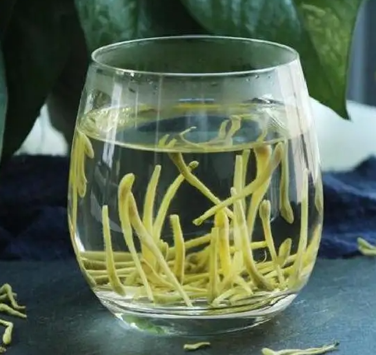 金银花的功效与作用禁忌及食用方法