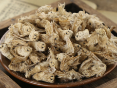雄蚕蛾壮阳有多强 雄蚕蛾快速壮阳配方