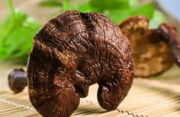 灵芝是不是年份越久功效越好