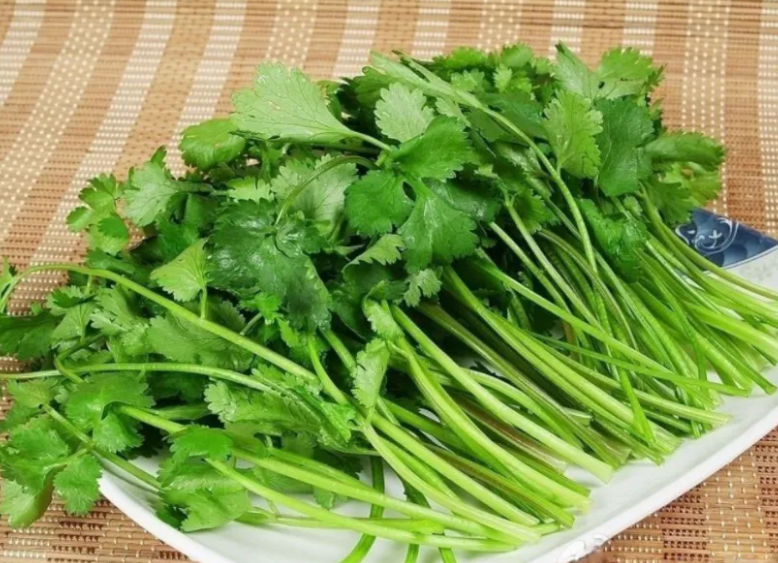 香菜功效与作用