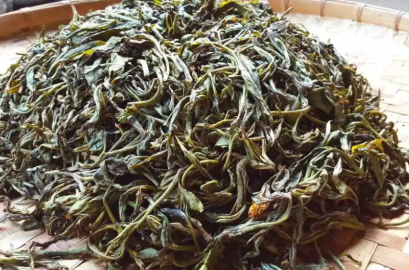 晒青毛茶的功效与作用