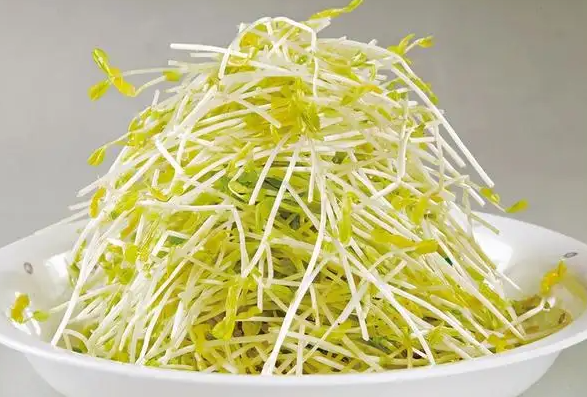 绿豆芽的营养价值及功效