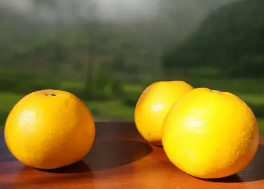 胡柚的功效与作用