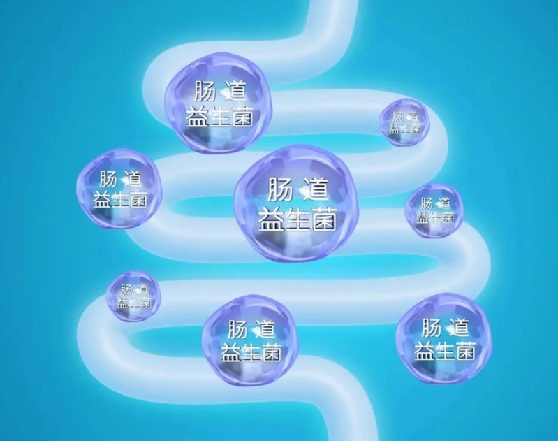 益生菌有什么功效和作用