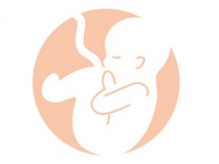 怀孕4个月孕妇营养素