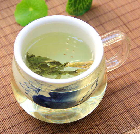 喝苦丁茶的好处