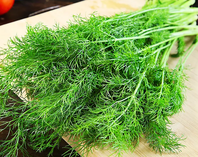 茴香菜的做法