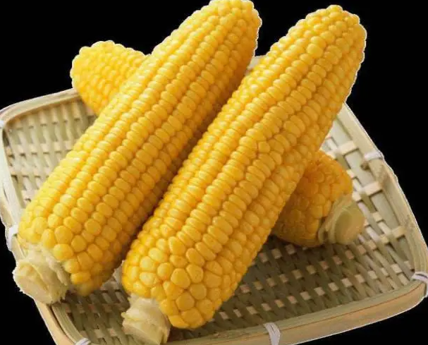 吃玉米会胖吗