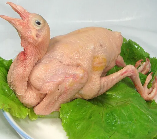 鸽子肉的功效
