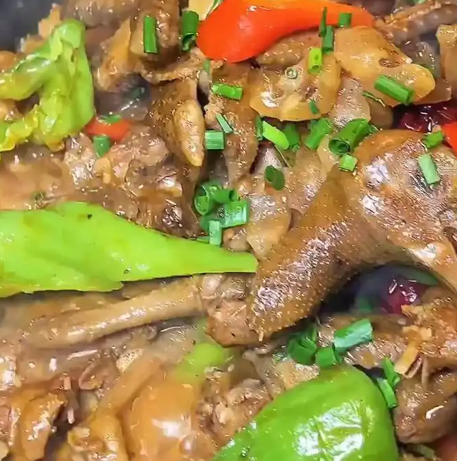 鸽子肉的营养价值