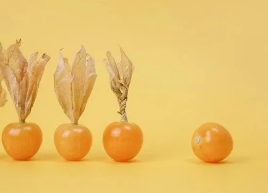 哥伦比亚龙珠果的营养