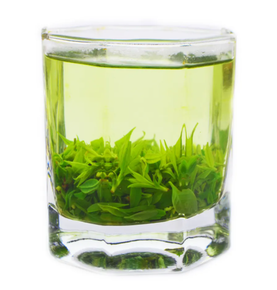 小叶苦丁茶是什么