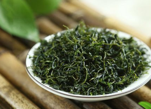小叶苦丁茶的泡法