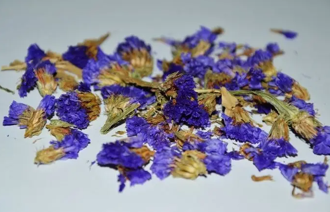 勿忘我花茶有什么用