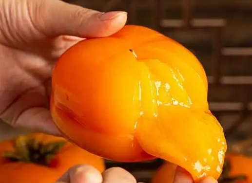 孕妇可以吃柿子吗