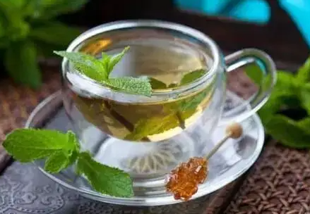 薄荷叶茶的做法