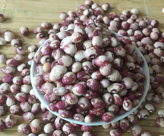 奶花豆作用和功效
