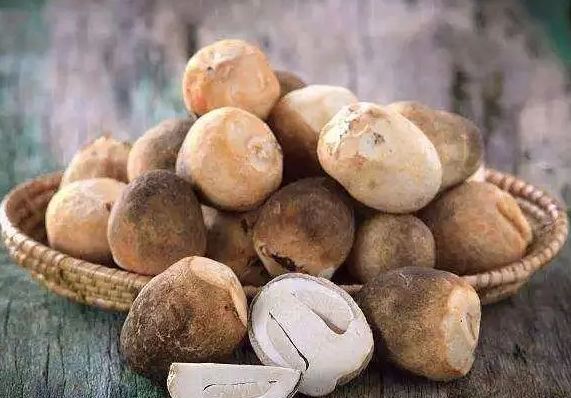 蘑菇的做法大全