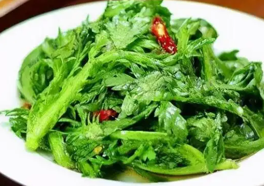 茼蒿的营养价值