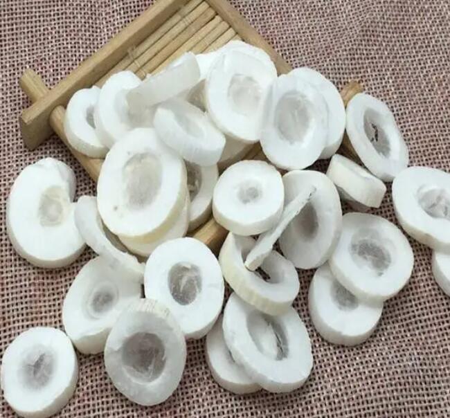 通草的副作用有哪些