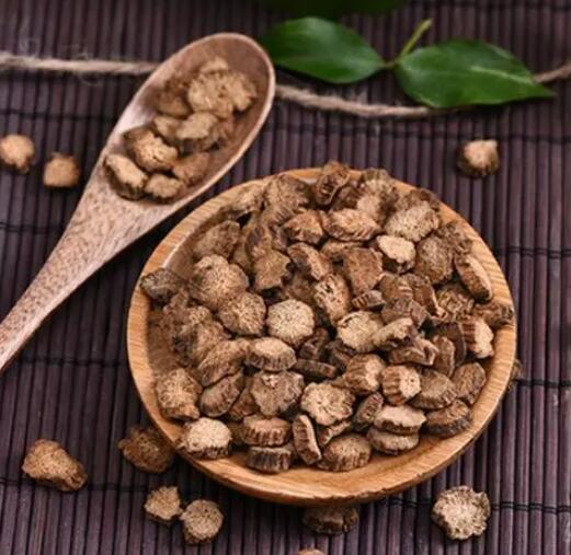 哪些人不宜喝牛蒡茶