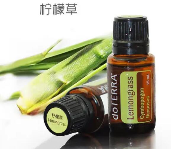 柠檬草精油价格