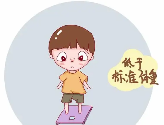 儿童营养不良吃什么