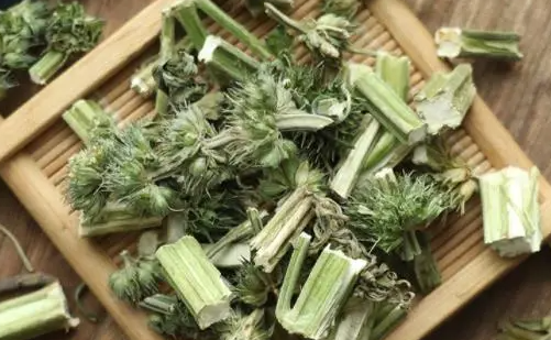 益母草的作用和疗效