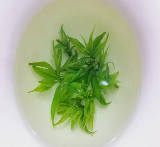 ​喝苦丁茶有什么副作用