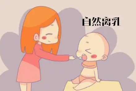 断奶后还有乳汁分泌怎么办
