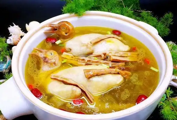鸽子汤的功效