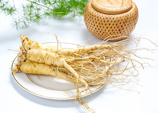 人参鹿茸的功效