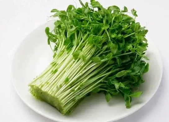 豌豆苗的做法大全
