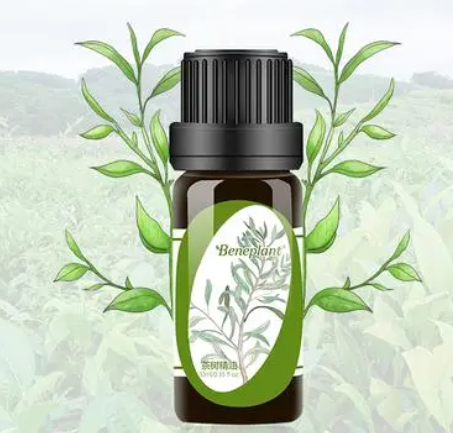 茶树精油祛痘效果超好 四种茶树精油的使用方法