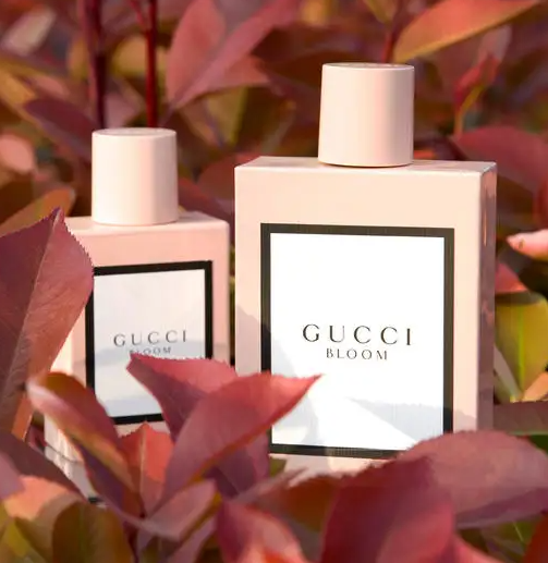 GucciBloom香水什么香调 清新花香调仙女必备