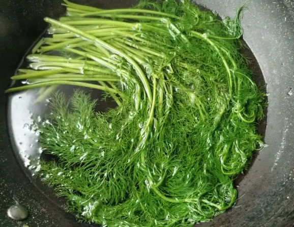 小茴香菜的副作用