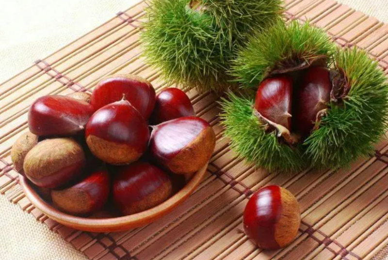 板栗的价格多少