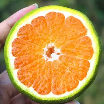 皮肤暗沉发黑怎么办 对症下药找出原因