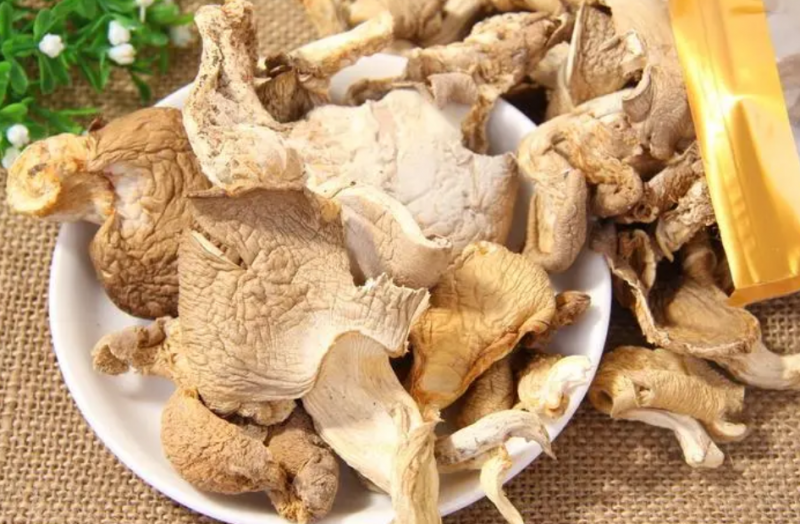 鲍鱼菇的功效与作用