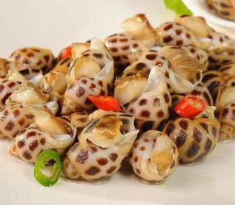 小海螺的营养价值