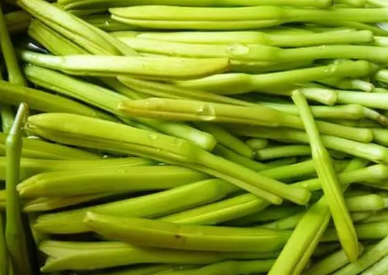 鲜黄花菜中含有的毒素是什么