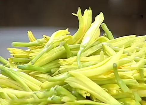 新鲜黄花菜能吃吗