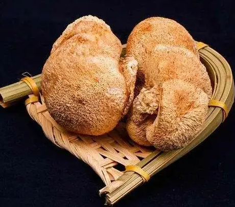 鲜猴头菇的做法大全