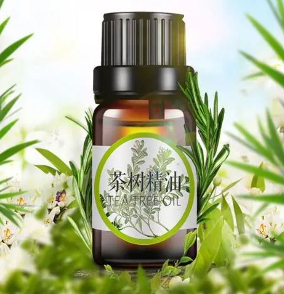 纯茶树精油有什么作用