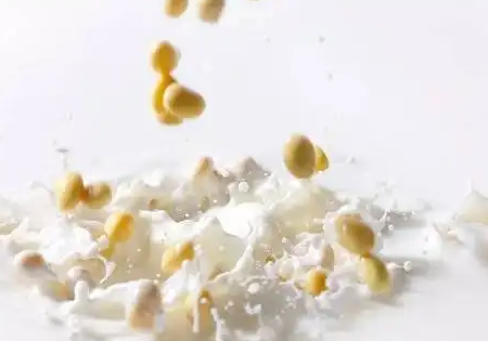 豆渣面膜的功效与作用