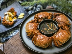 紫苏虽好但千万不要和他一起吃 这三种食物紫苏要远离